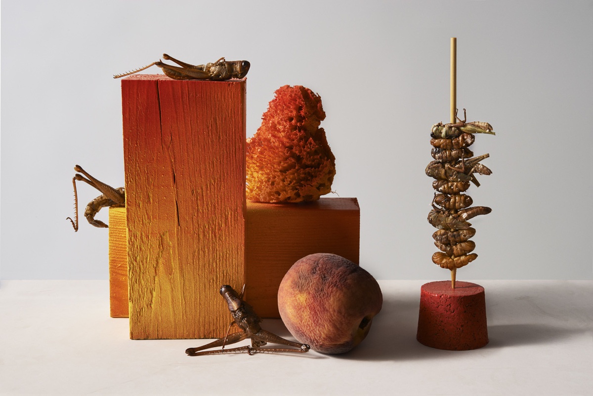 LUNDLUND : Mosaic Science LUNDLUND : Mosaic Science