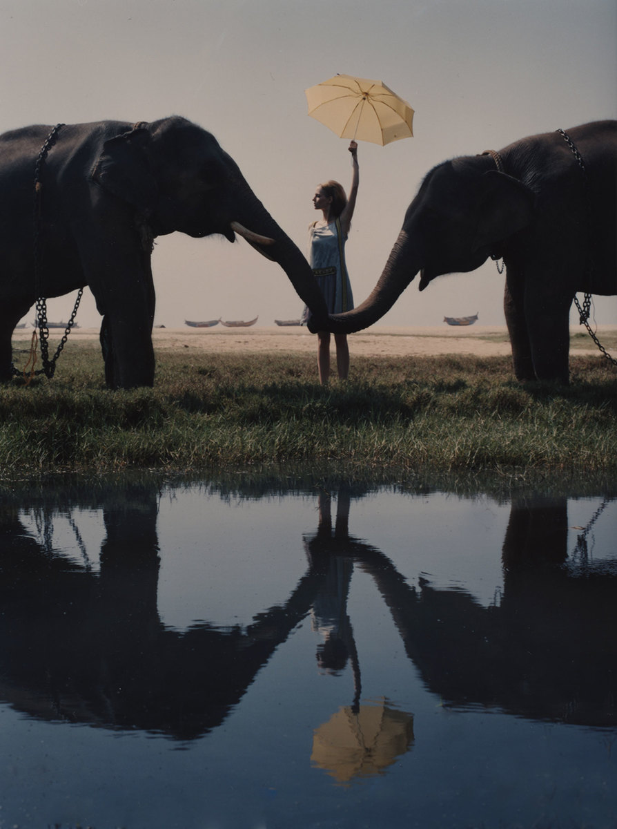 LUNDLUND : Elephant LUNDLUND : Elephant