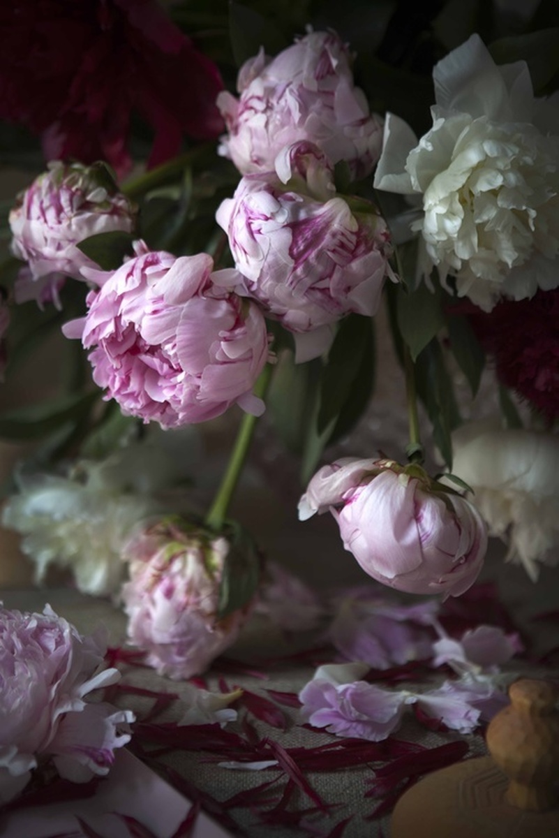 LUNDLUND : Flowers LUNDLUND : Flowers