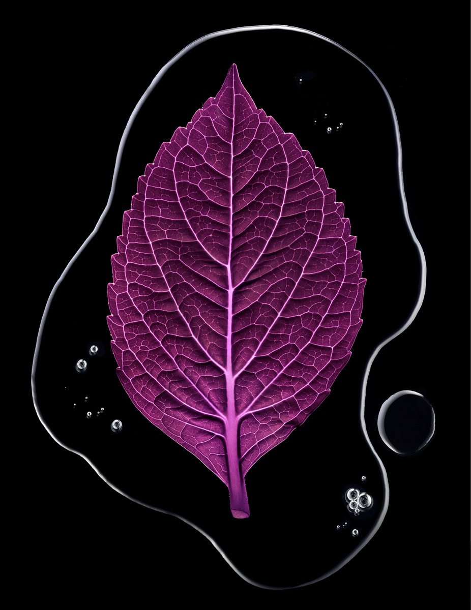 LUNDLUND : Oriflame Innoage LUNDLUND : Oriflame Innoage