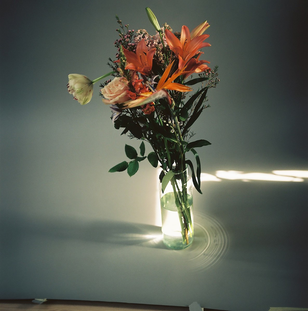 LUNDLUND : Teeth Magazine LUNDLUND : Teeth Magazine